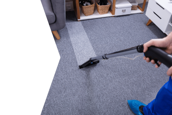 A professional technician from Your Royal Carpet Care, wearing protective blue shoe covers, uses a steam cleaning wand to clean a grey carpet. The image reveals a striking contrast between the freshly cleaned path and the surrounding dirty area, showcasing expert stain removal and deep cleaning services in Los Gatos.
