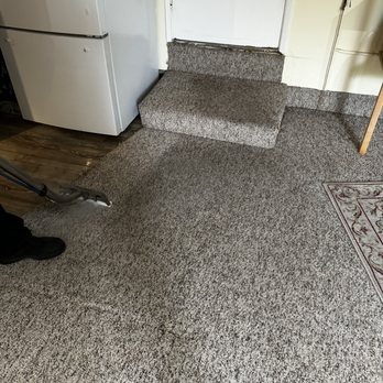 Antimicrobial bacterial rinse treatment applied to carpet in Los Gatos for deep sanitization and odor removal.