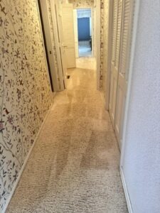 Narrow residential hallway with floral wallpaper and freshly washed light-colored carpet. Visible cleaning machine marks demonstrate the attention to detail in high-traffic zones to remove wear and accumulated soil.