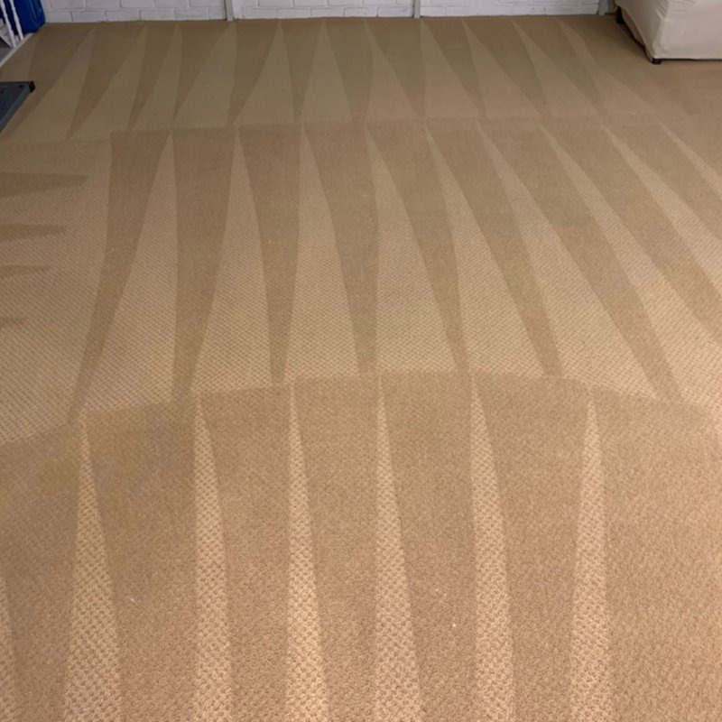 Professional move-out carpet cleaning in Los Gatos for tenants and landlords requiring deposit-ready results.