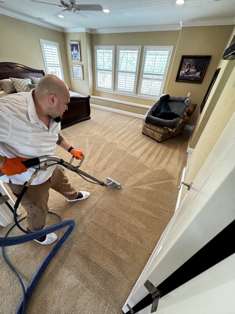 Expert technician from Your Royal Carpet Care cleaning the beige carpet of a spacious master bedroom. The image shows the use of high-power steam machinery to disinfect and revive carpet fibers in family homes.